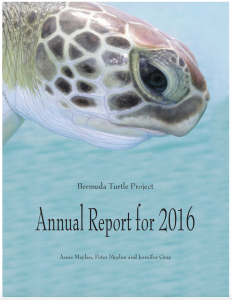 Annual report 2016