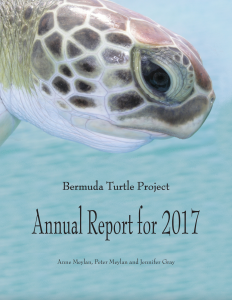 Annual report 2017