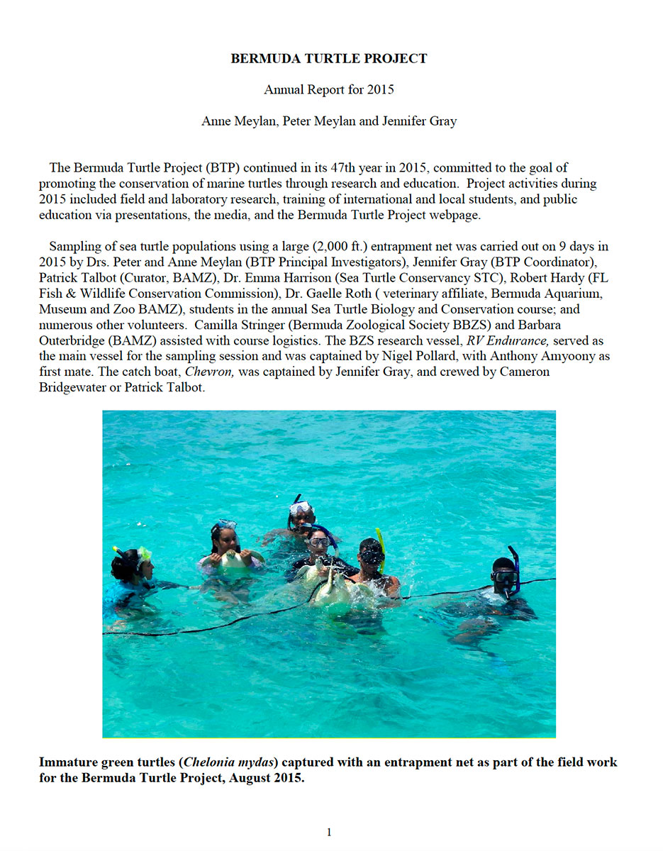 Annual Report 2015