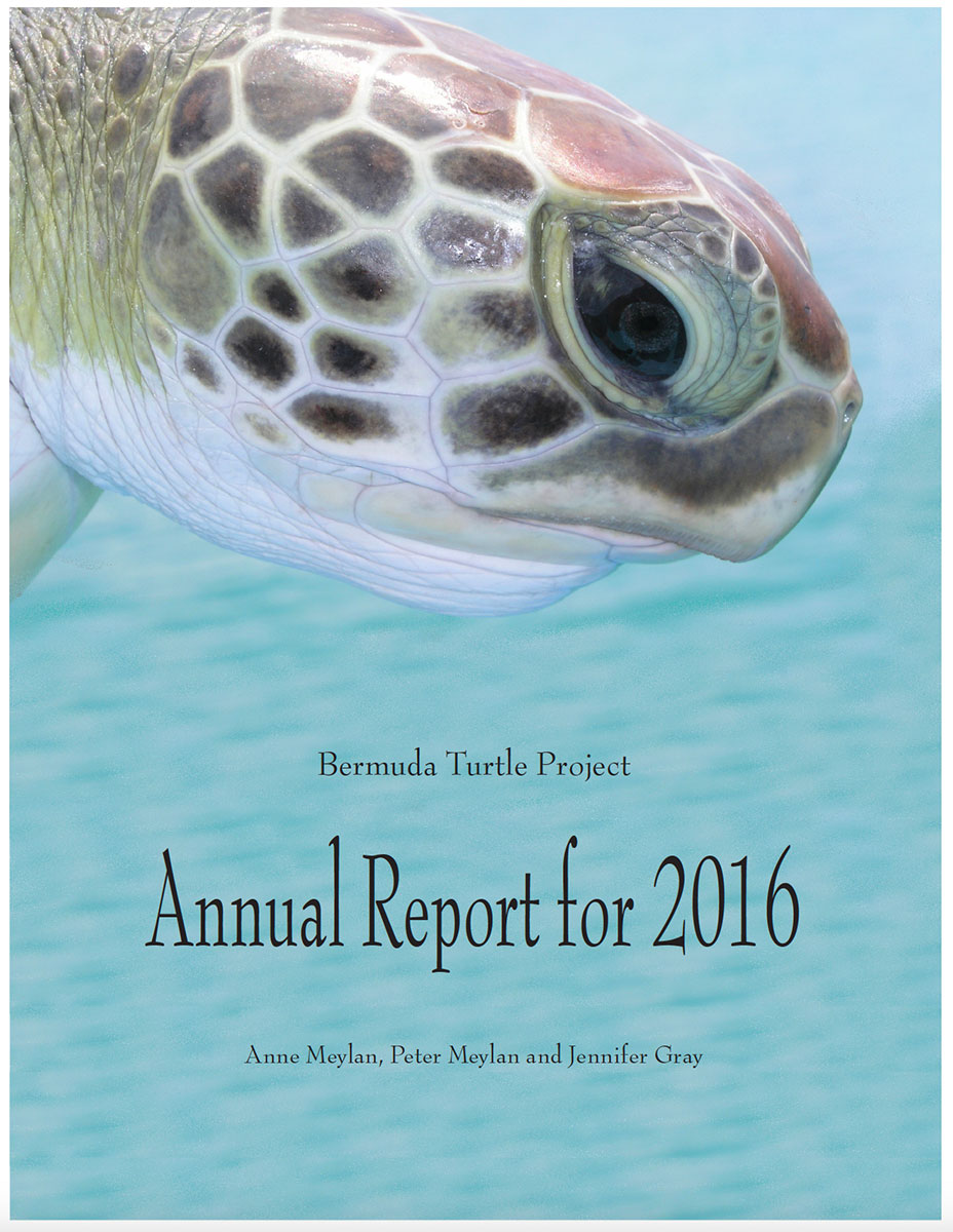 Annual report 2016