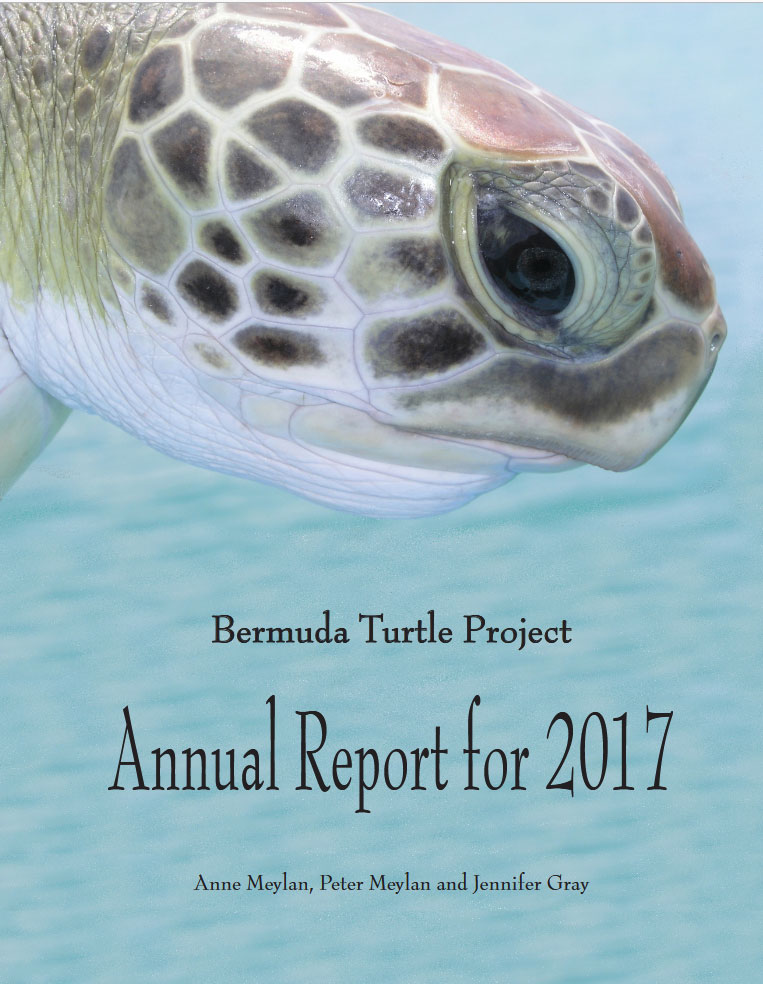 Annual report 2017