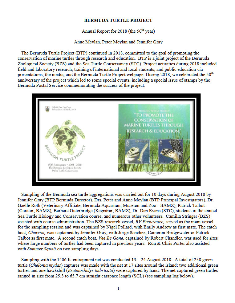 Annual report 2018