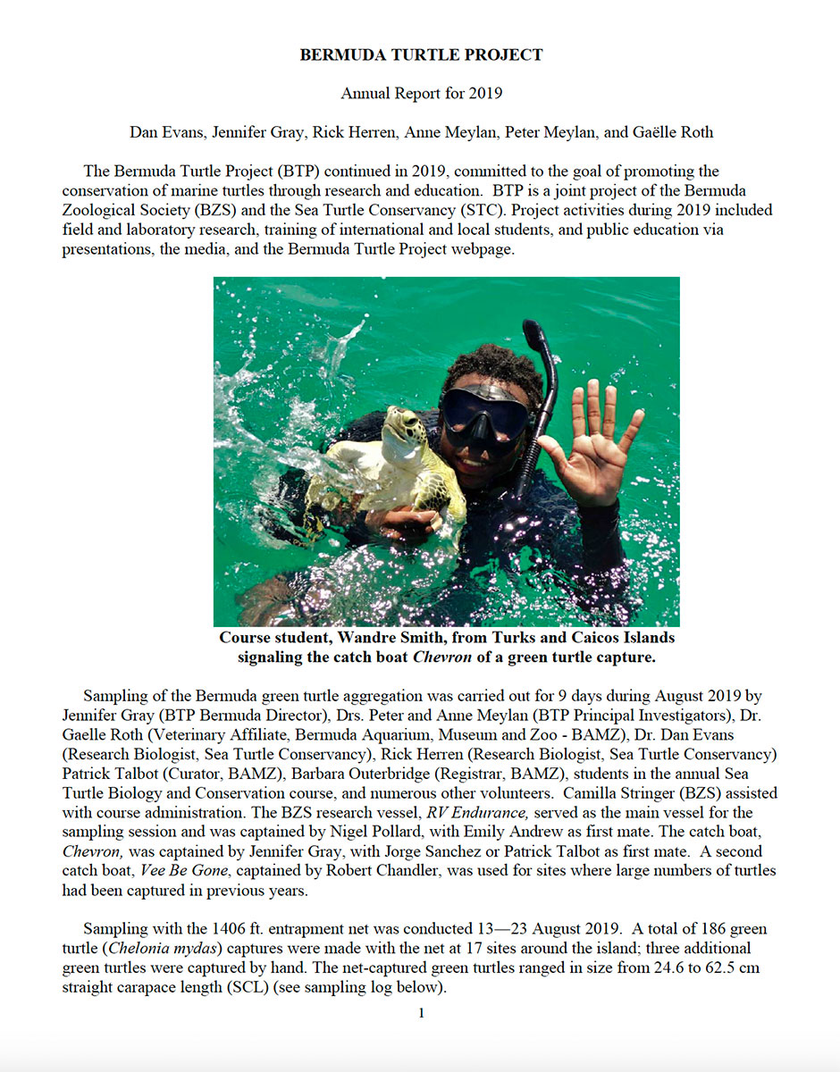 Annual report 2019