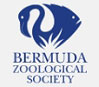 Bermuda Zoological Society