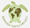 Bermuda Turtle Project